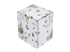 ����� ��� ��� Muze Garden 350�� 922-078