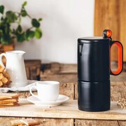 ��������� ��������� �� 6 ����� Efficient 255�� A170414