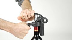 ������ Saveurs de vins 200510