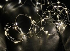 ó������ ���������� 2,3� 5900779802636