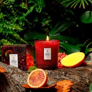 ���������� Japonica Goji Tarocco Orange 255� 7341