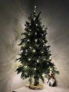 �������� ������������ 1� 8718861660623