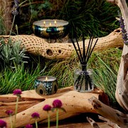 ���������� Japonica French Cade Lavender 340� 7224