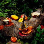 ���������� Japonica Goji Tarocco Orange 340� 7221