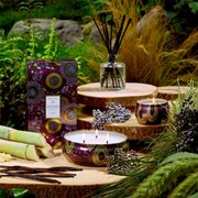 ���������� Japonica Santiago Huckleberry 340� 7222