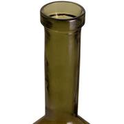 ���� Odon 100�� 4646DB761