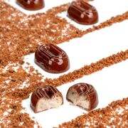 ����� ��� �������� ������ 3,8�2,5�1,3�� 21MA1069