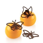 ����� ��� ������ ������� 6,9�4,5�� GRACE