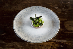 ������� ��������� Sway 25�� S-MT-SWYGRM25DZ