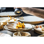 ������ ������� Solis 21�� SLS21DZ