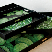 ���� Cactus 33�66�� 6-9-2