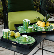 ���� Cactus 33�66�� 6-9-2