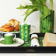 ���� Cactus 33�66�� 6-9-2