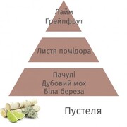 ����� ����� Bouquet Parfume Cube Diffusers Mineral noir ambre 180�� 7833