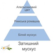 ������ ��� ��������� Aromas Muscs Cocoon 200�� 7772