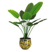 ����� ����� Smalto Vivo ������ 30/26/22�� 38223