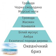 ������ ��� ��������� Aromas for the home Ocean Breeze 500�� 115033