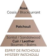 ������ ��� ��������� Aromas for the home Mystery Patchouli 500�� 115047