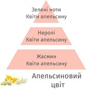 ������ ��� ��������� Aromas for the home Orange Blossom 500�� 115050