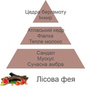 ������ ��� �������� Aromas for the home Woodland Fairy 500�� 115160