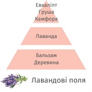 ������ ��� �������� Aromas Lavender fields 200�� 6041