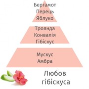 ������ ��� �������� Aromas Hibiscus Love 200�� 6248