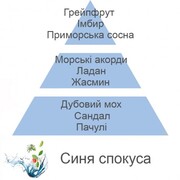 ������ ��� ��������� Aromas Blue Seduction 200�� 7774