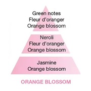 ������������� Ice Cube Diffusers Orange Blossom 100�� 7739