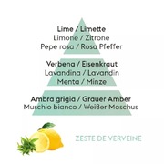 ������������� Ice Cube Diffusers Zest Of Verbena 100�� 7751