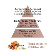 ������������� Ice Cube Diffusers Orient Star 100�� 7755