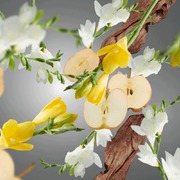 ������������� Ice Cube Diffusers Anti-Animal 100�� 7761