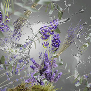 ������������� Ice Cube Diffusers Anti-Bathroom 100�� 7762