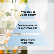 ������������� Ice Cube Diffusers Cozy Musk 100�� 7830