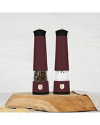 ����� ������������� ������� ��� ���� � ����� Leonardo BH-9555