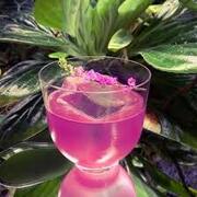 ������ ��� ����� Hepburn 380�� 64082