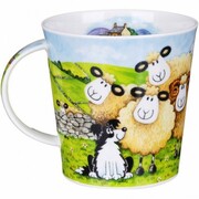 ������ Cairngorm Follow me follow ewe farm 480��