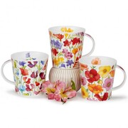 ������ Cairngorm Floral Fiesta freesia 480��