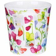 ������ Cairngorm Floral Fiesta sweat pea 480��