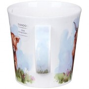 ������ Cairngorm Highland cows 480��