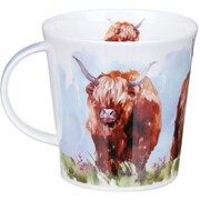 ������ Cairngorm Highland cows 480��