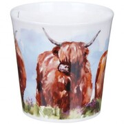 ������ Cairngorm Highland cows 480��