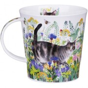 ������ Cairngorm Pretty paws tabby 480��