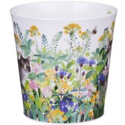 ������ Cairngorm Pretty paws tabby 480��