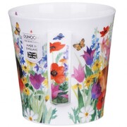 ������ Cairngorm Pretty paws tortoiseshell 480��