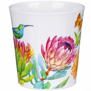 ������ Lomond Exotic beauty sunbird 320��