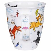 ������ Nevis Raining cats 480��