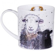 ������ Orkney Shaggy sheep herdwick 350��