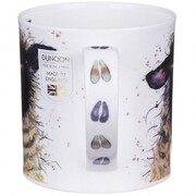 ������ Orkney Shaggy sheep suffolk 350��