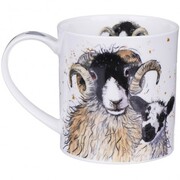 ������ Orkney Shaggy sheep swaledale 350��