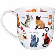 ������ Cumbrae Cat breeds 450��